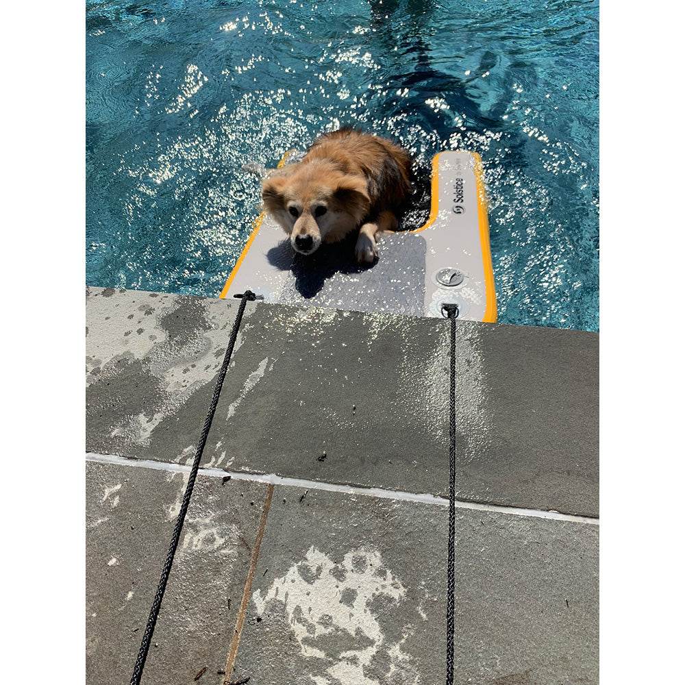 Suncoast Marine and Auto offers Solstice Watersports Inflatable PupPlank Dog Ramp - Mini [33424]