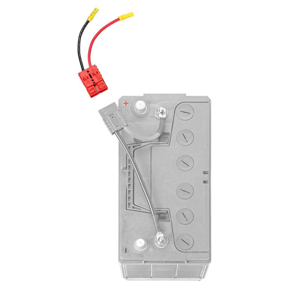 Suncoast Marine and Auto offers Connect-Ease 10 Gauge Battery Charger Utility Connection [RCE12VB10]