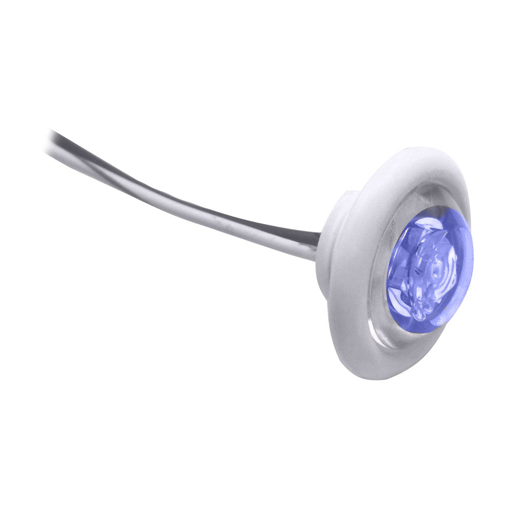 Suncoast Marine and Auto offers Innovative Lighting LED Bulkhead/Livewell Light "The Shortie" Blue LED w/ White Grommet [011-2540-7]