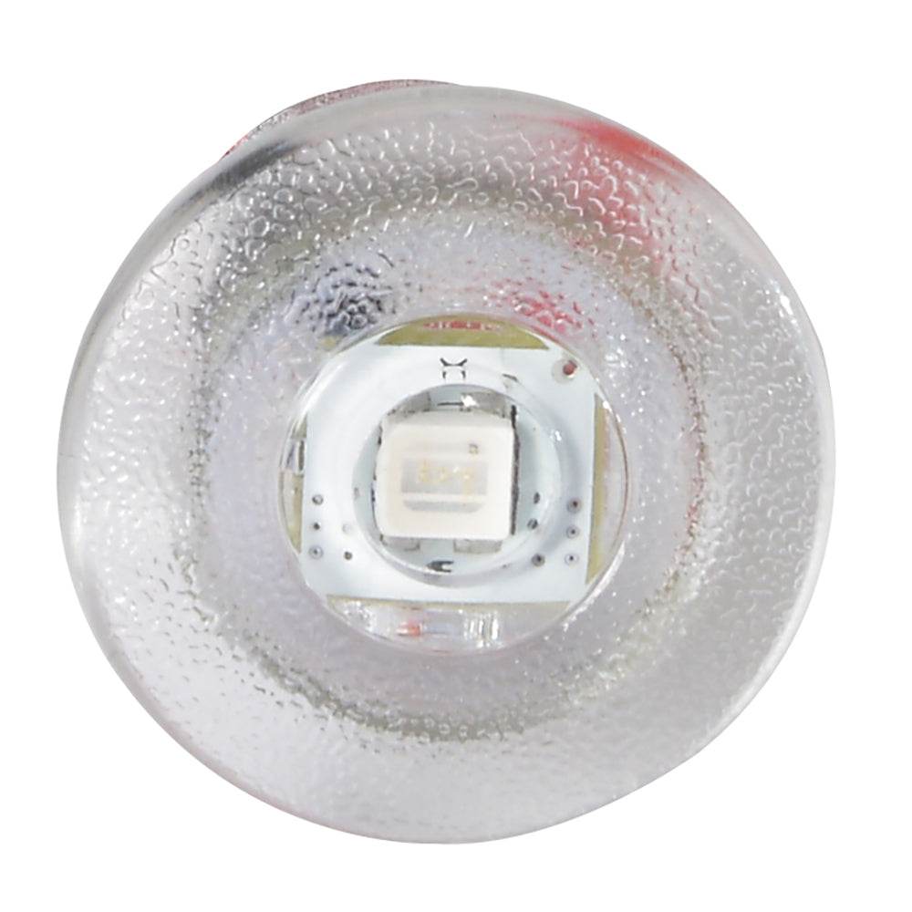 Suncoast Marine and Auto offers Lumitec Newt - Livewell & Courtesy Light - Blue Dimming [101085]