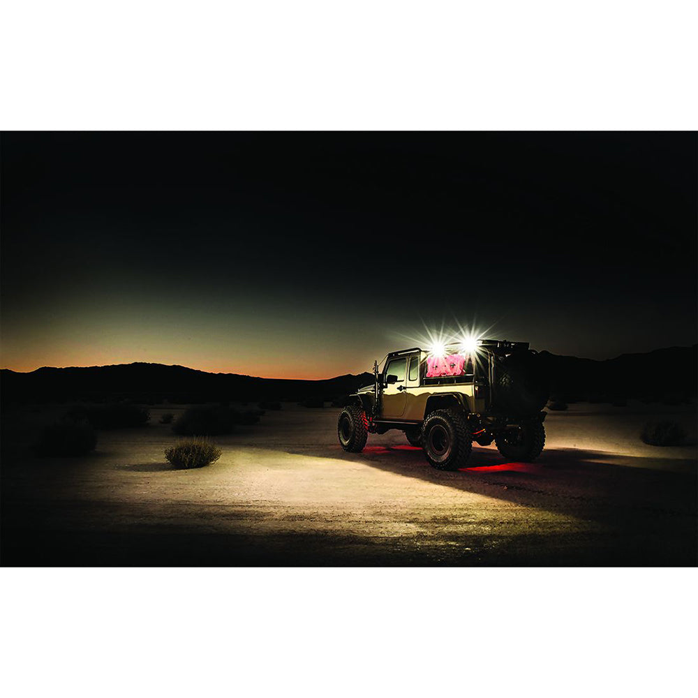 Suncoast Marine and Auto offers RIGID Industries 1" x 2" 65 - DC Scene Light - Black [86610]