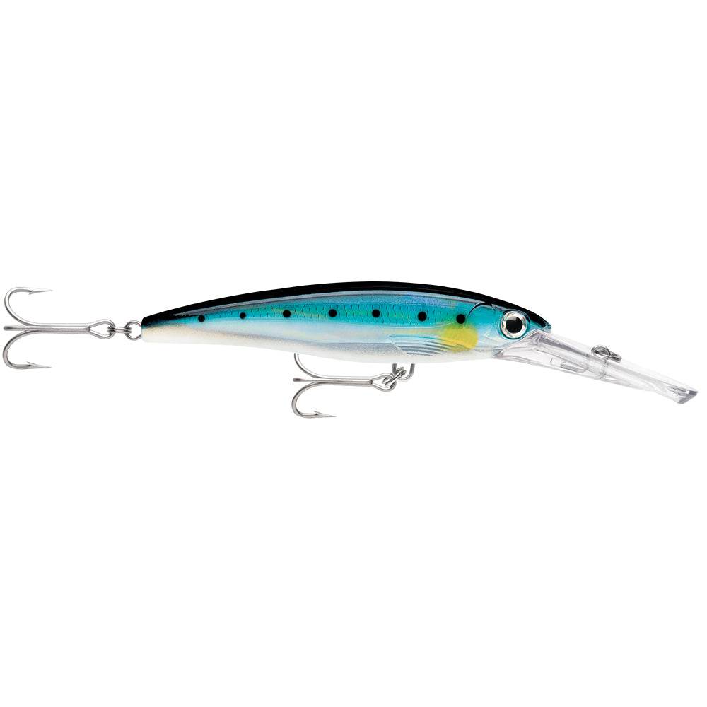 Suncoast Marine and Auto offers Rapala X-Rap Magnum 15 Blue Sardine [XRMAG15BSRD]