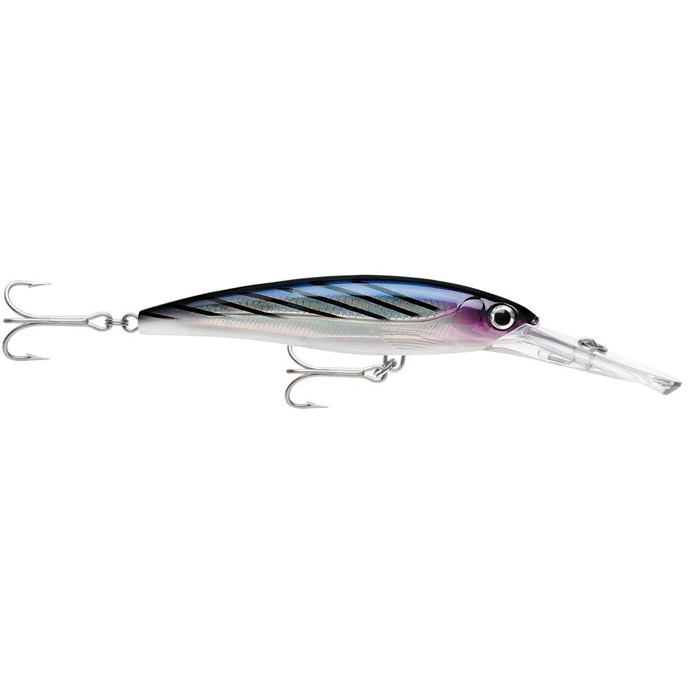 Suncoast Marine and Auto offers Rapala X-Rap Magnum 15 Bonito [XRMAG15BTO]