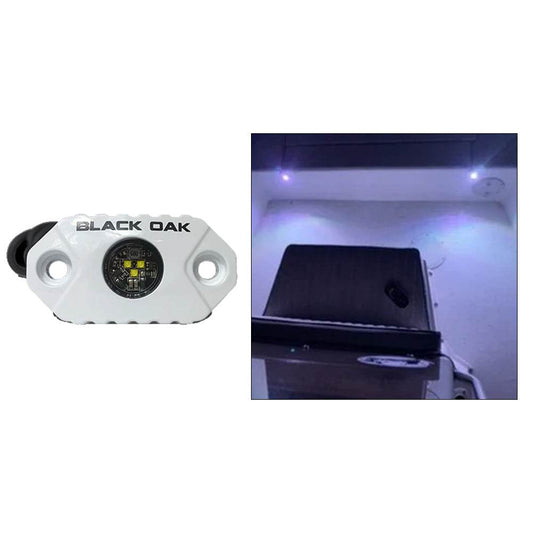 Suncoast Marine and Auto offers Black Oak Rock Accent Light - White LEDs - White Housing [MAL-W]