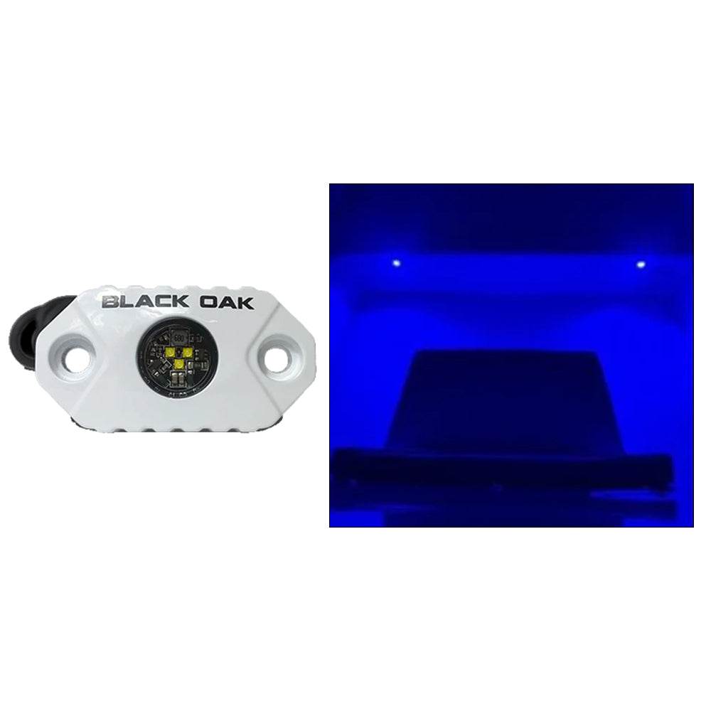 Suncoast Marine and Auto offers Black Oak Rock Accent Light - Blue LEDs - White Housing [MAL-B]