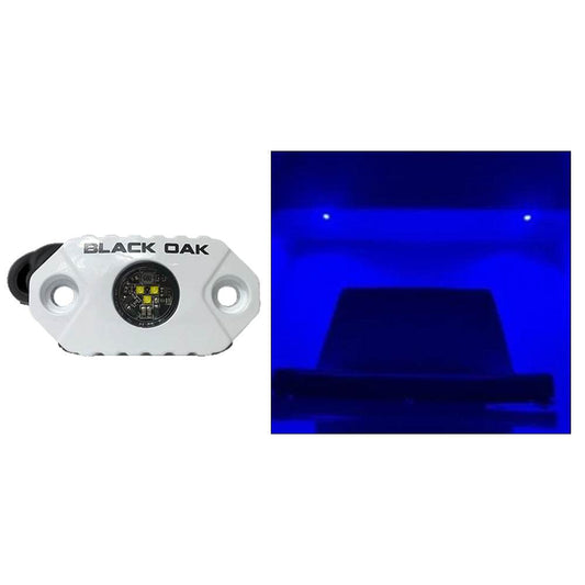 Suncoast Marine and Auto offers Black Oak Rock Accent Light - Blue LEDs - White Housing [MAL-B]